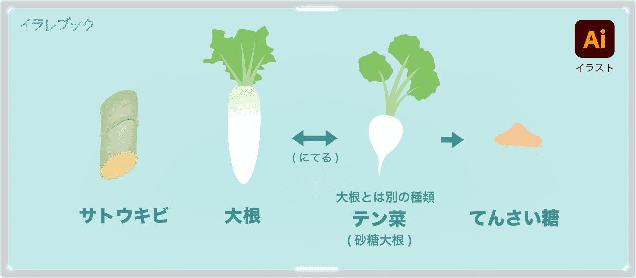 テン菜から作ったてんさい糖