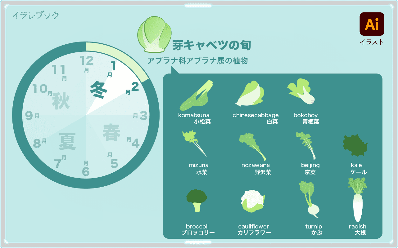 芽キャベツの旬とアブラナ科アブラナ属の植物たち