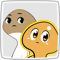 ぶな&なめこ