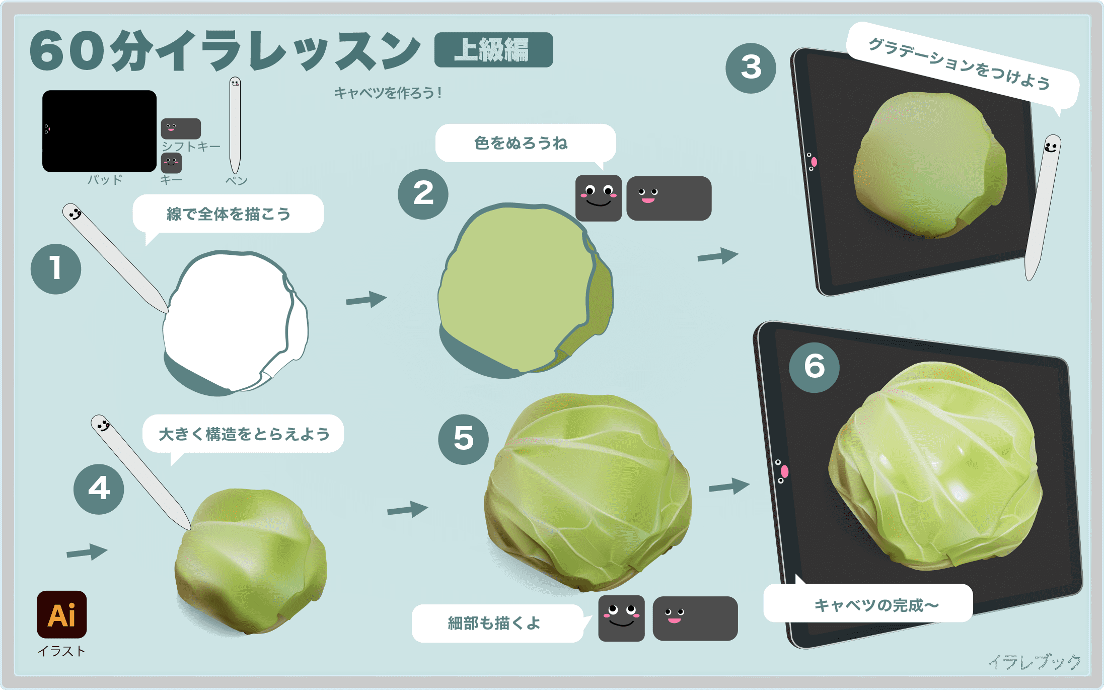 無料でダウンロード キャベツ の イラスト