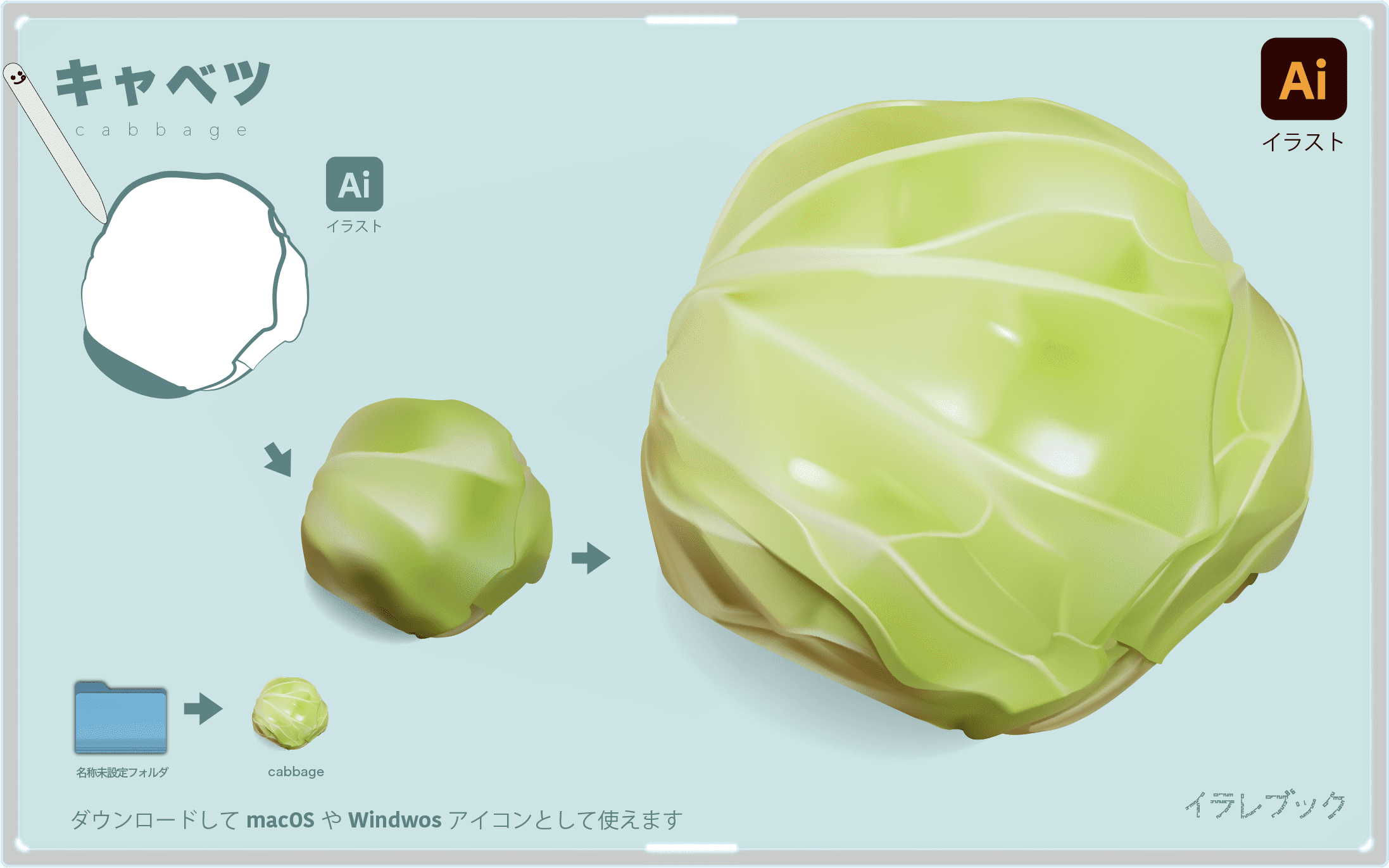 キャベツ イラスト キャベツだけの栄養 ケールに関する詳細 歴史 選び方 格言 Cabbage