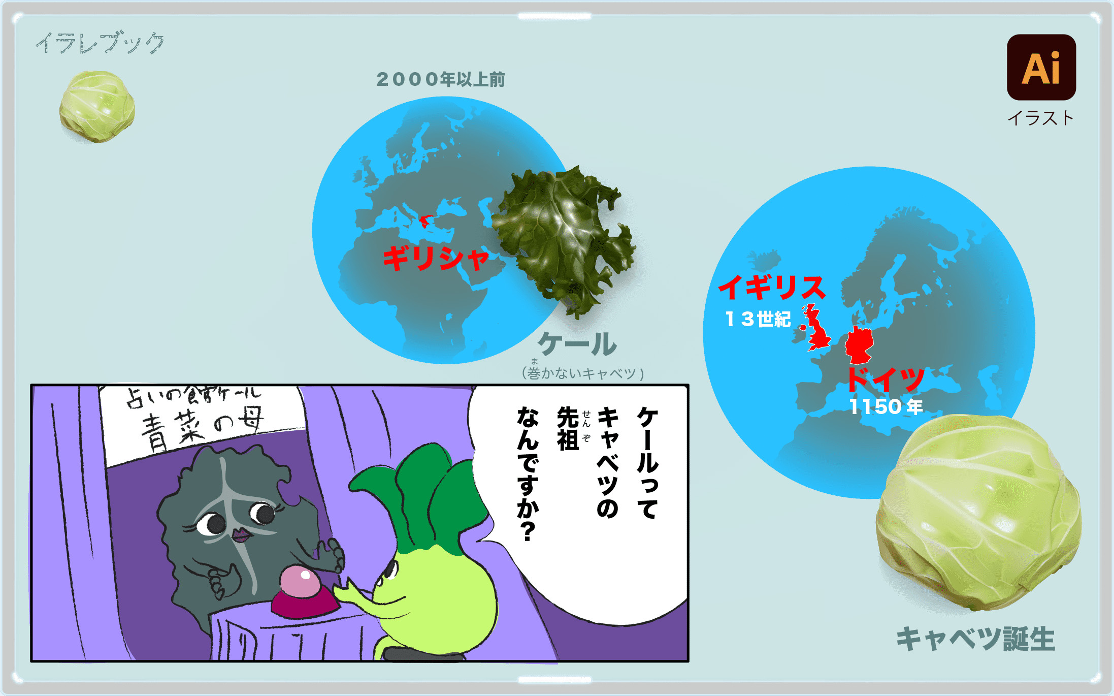 キャベツ イラスト キャベツだけの栄養 ケールに関する詳細 歴史 選び方 格言 Cabbage