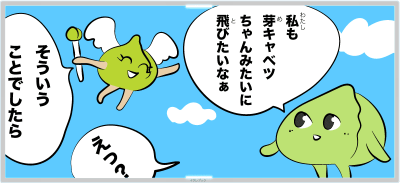 【キャベツの栄養キャベジンって何？その効果】キャベツとレタスの違いとレッドキャベツも