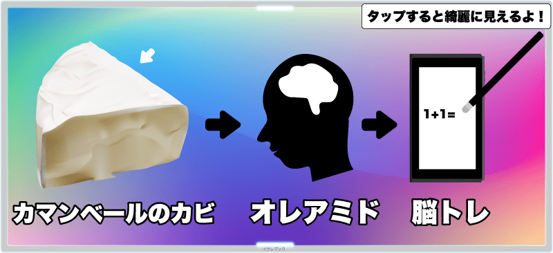 カマンベールチーズには、オレアミドという栄養素があり、それには記憶力を守る力がある。脳トレのお供になる