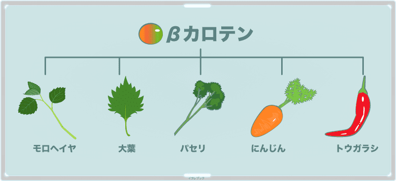 βカロテンは植物が持つ、赤~黄色っぽい色素成分