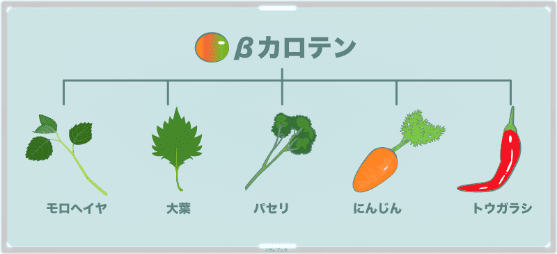 βカロテンは植物が持つ、赤～黄色っぽい色素成分