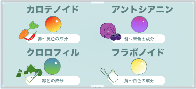 βカロテンは植物が持つ、赤~黄色っぽい色素成分
