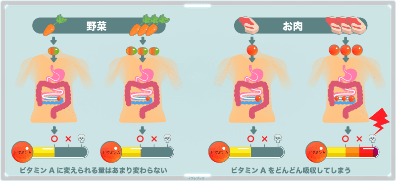 ビタミンAの摂りすぎを防げるのは野菜だけ、お肉は摂りすぎる場合もある