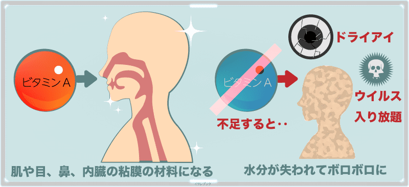 ビタミンAが不足すると肌や髪、爪からも水分が失われてボロボロになる可能性