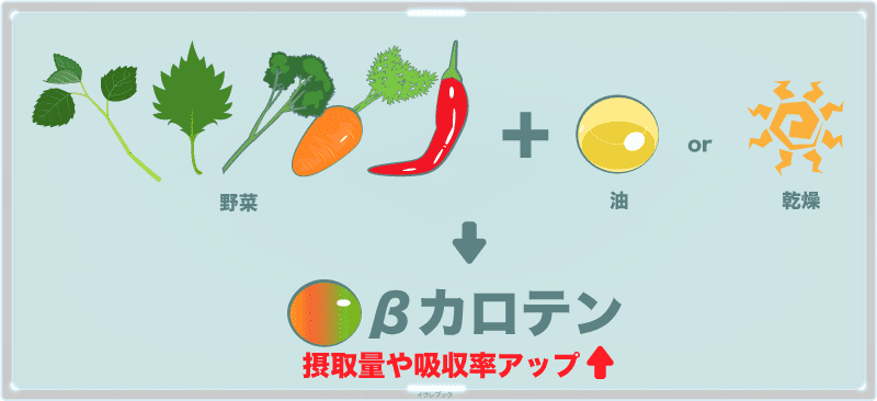 油と一緒に摂ったり乾燥させると摂取量や吸収率アップ