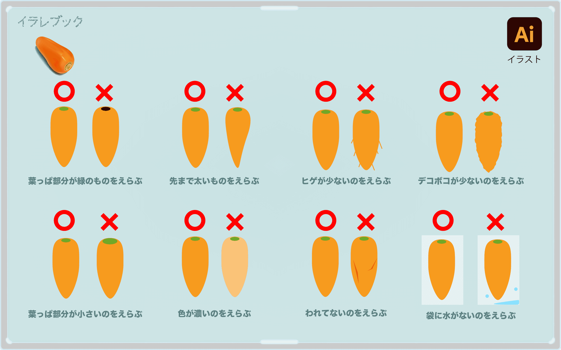 にんじんの美味しい見分け方の図解