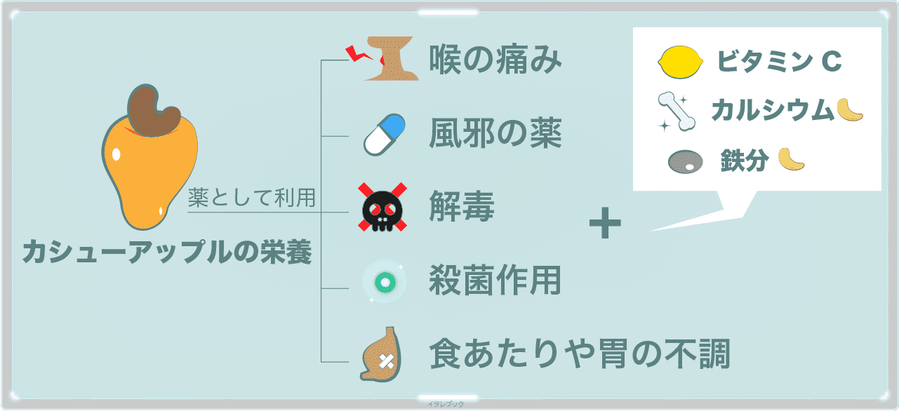 カシューアップルの栄養