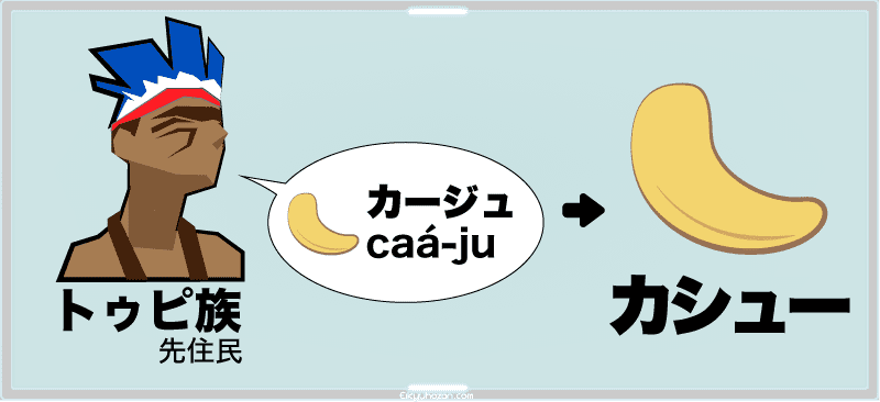 カシュ―ナッツの名前の由来「カージュ説」