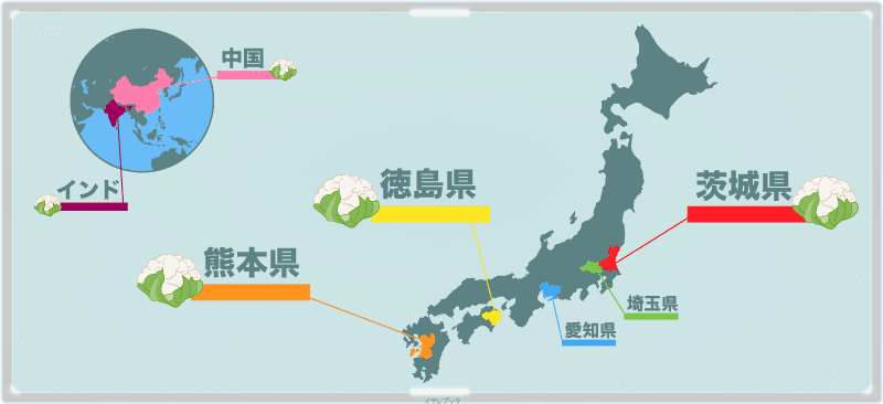 カリフラワーの生産地