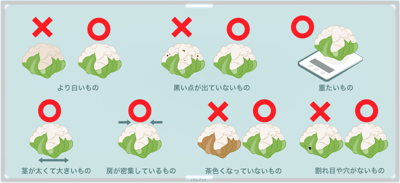 カリフラワーの美味しい選び方