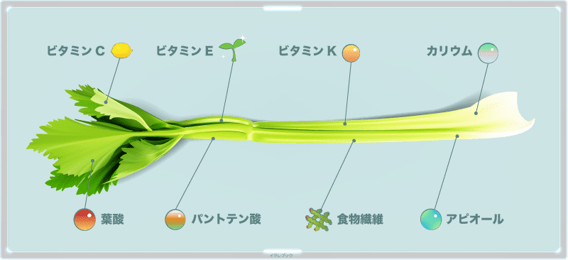 セロリの栄養