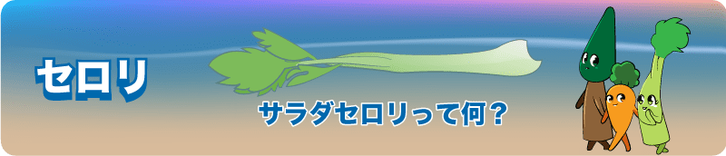 【サラダセロリの栄養は？おすすめレシピも】セロリは葉っぱと茎で栄養が違う