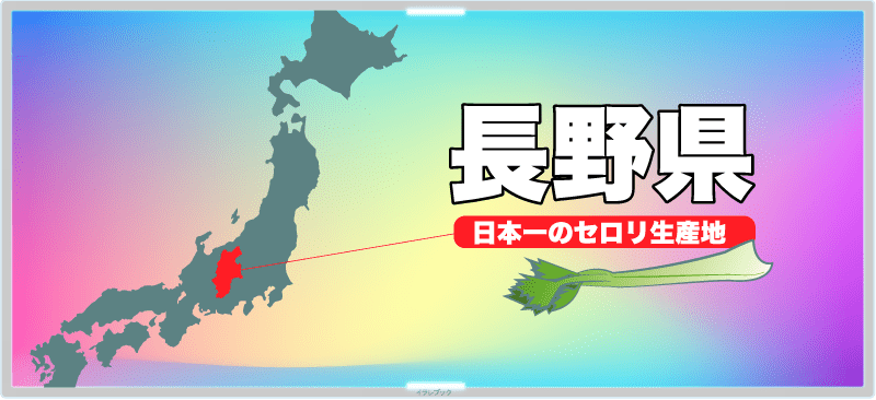 セロリを一番たくさん作っているのは、日本地図でも一番真ん中辺りの長野県