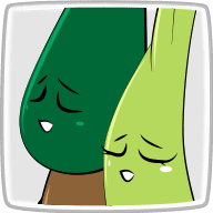 セロリ&ヒノキ