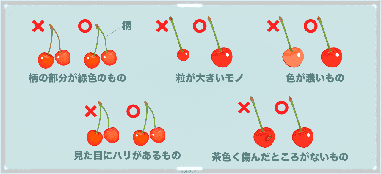 さくらんぼの美味しい選び方