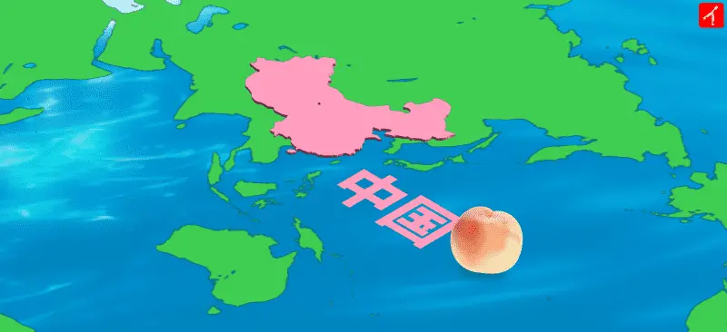 桃は中国