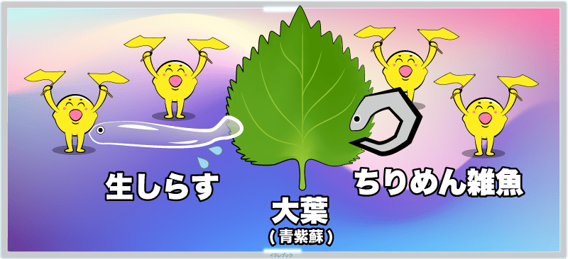 大葉と生しらす~ちりめんじゃこでビタミンCパワーアップ