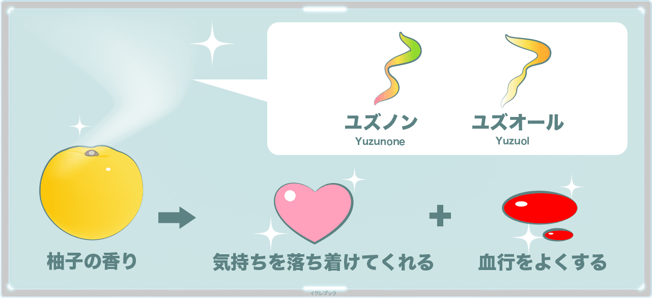 柚子の香りのユズノンとユズオールとその効果