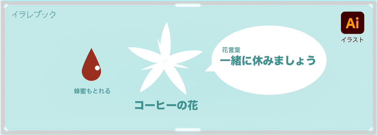 コーヒーの花と花言葉