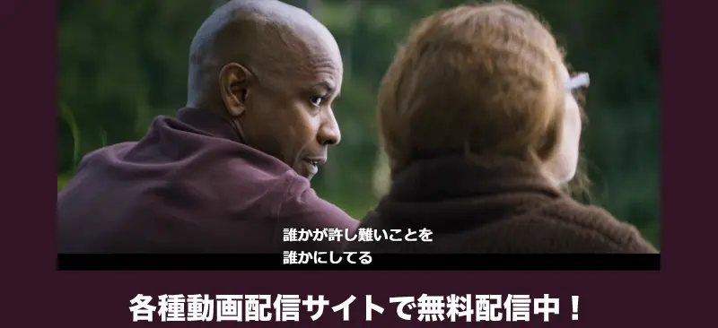 各種動画配信サイトで無料配信中!