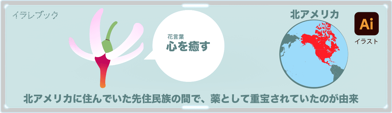 クランベリーの花言葉は「心を癒す」