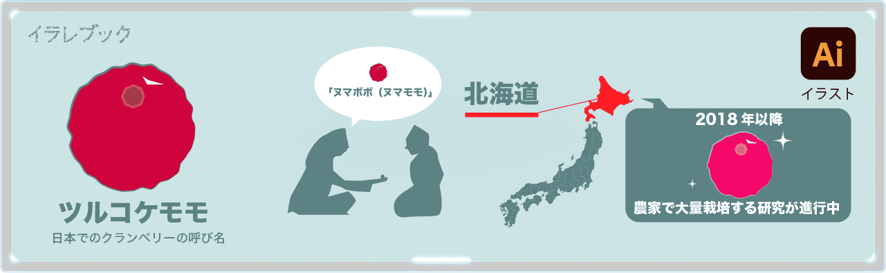 日本とクランベリー