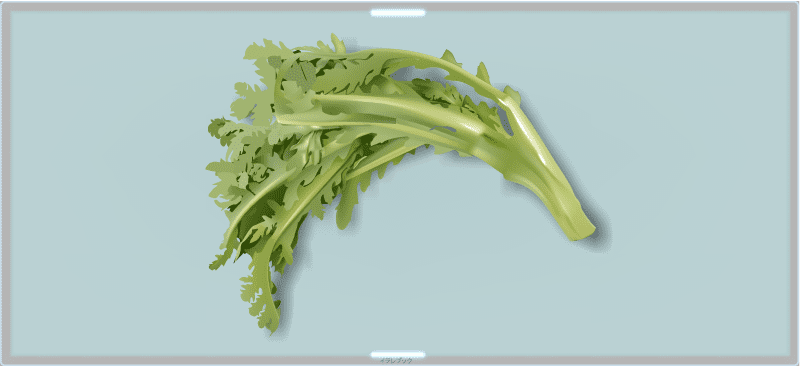 野菜 春菊