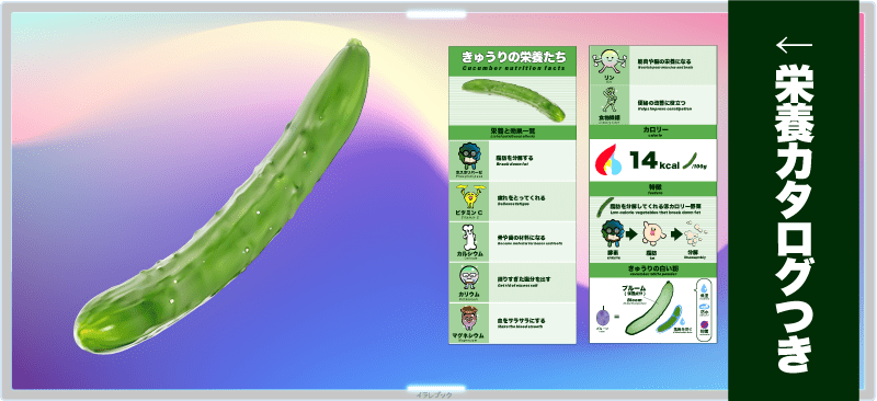 きゅうりの栄養たち PDF