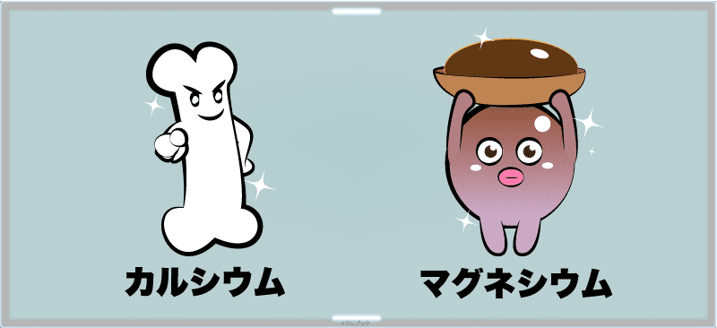 カルシウムとマグネシウム