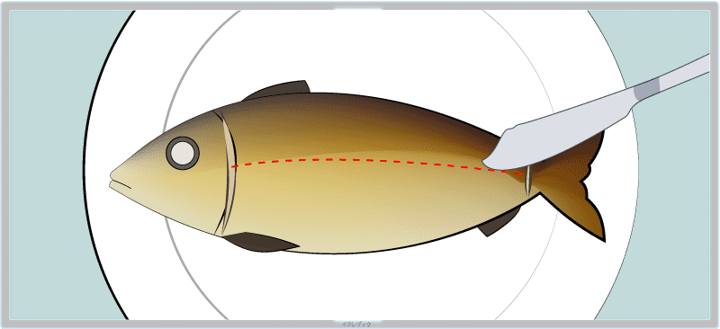 魚の骨に沿って横に切り込みを入れる