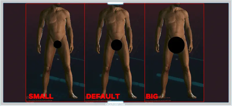 cyberpunk2077 PENIS SIZE