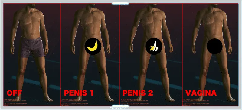 cyberpunk2077 GENITALS