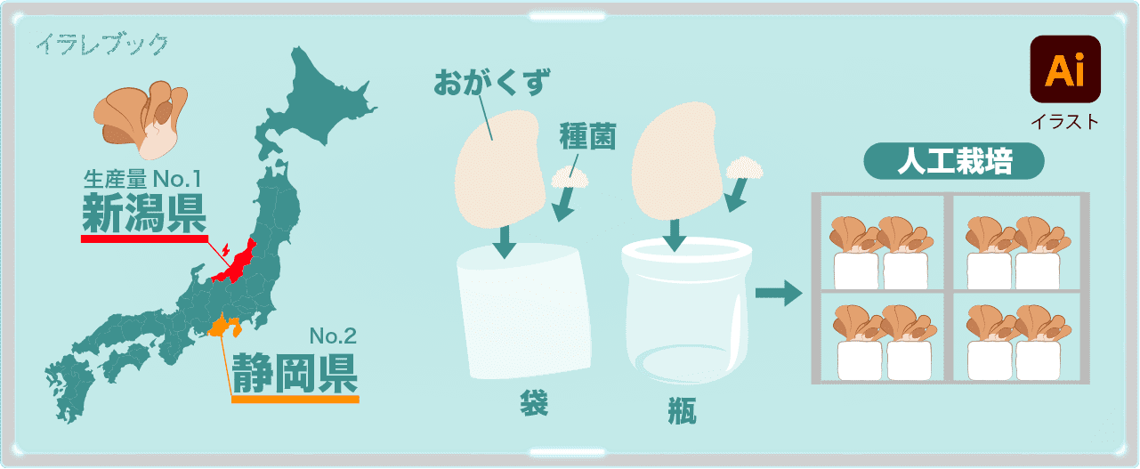 舞茸の生産