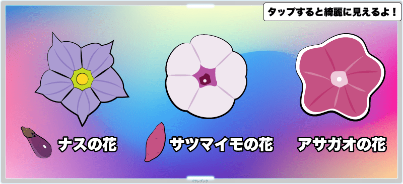 ナス目ナス科ナス属。ナス目にはラッパ型の花を咲かせるサツマイモやアサガオ。