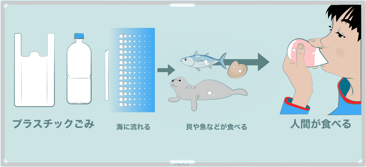 プラスチックゴミは、周り回って人間へ