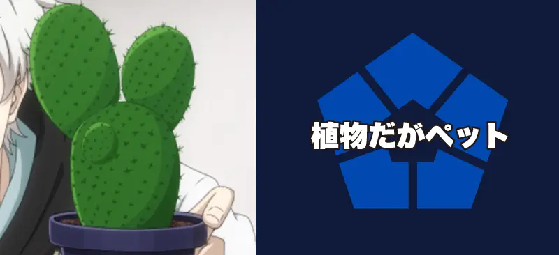 チョキ