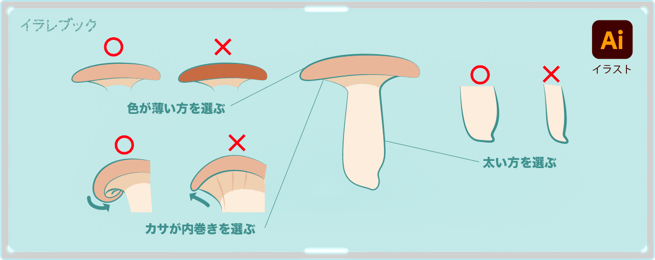 エリンギの美味しい選び方