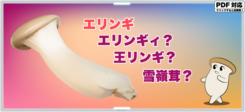 エリンギ、エリンギィ?王リンギ?雪嶺茸?