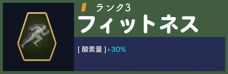 フィットネスランク3