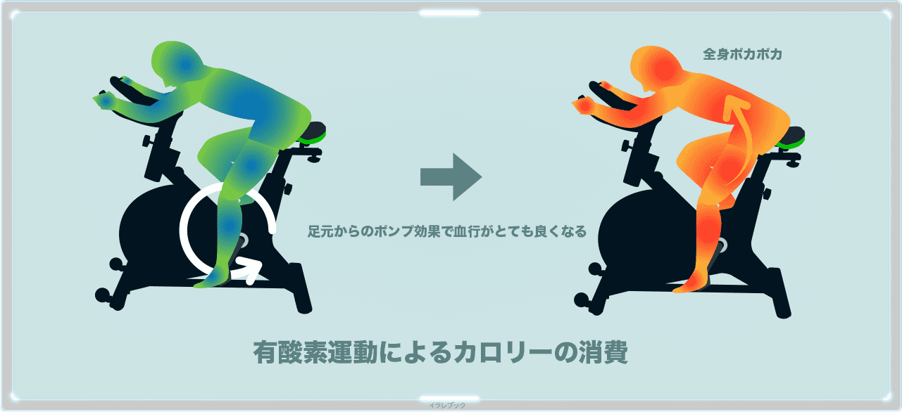 フィットネスバイクの効果は、有酸素運動によるカロリーの消費