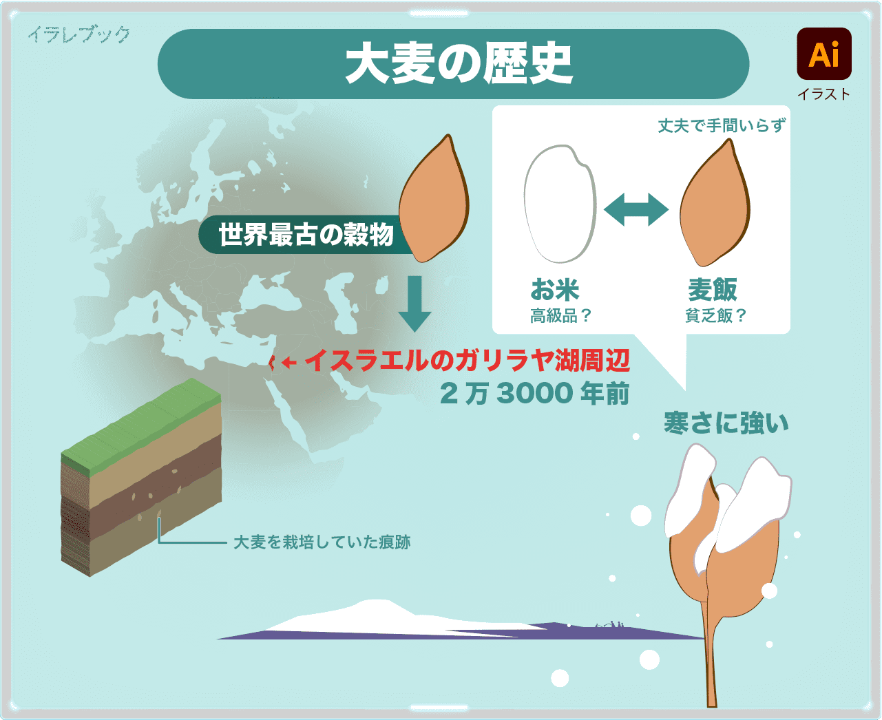 大麦の歴史