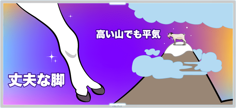 ヤギが丈夫な脚を持っていて、高い山の上で暮らしている種も多い