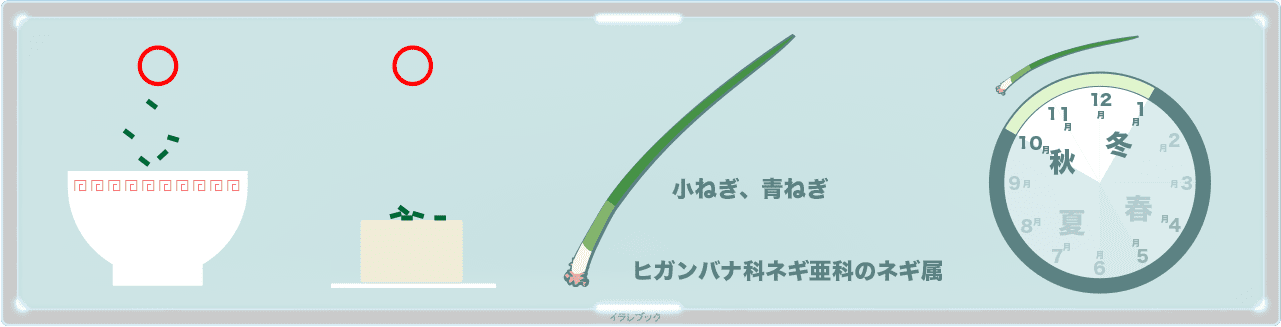 ネギは何でもあう!