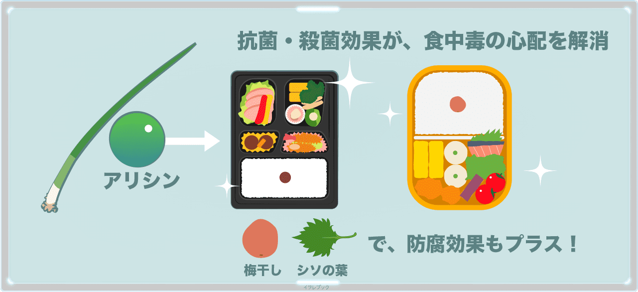 ネギのアリシンにある防菌効果でお弁当の殺菌効果が上がる。梅干しやシソの葉を入れると防腐効果も期待できる