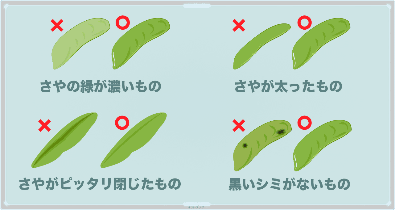 グリーンピースは、さやの緑が濃いもので太っていて、ぴったり閉じて、黒いシミが無いものを選ぼう